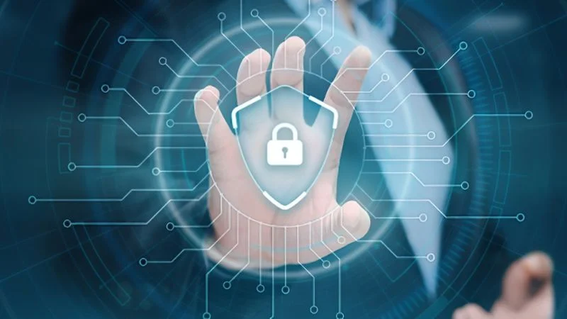 Quy định về quyền và nghĩa vị của người chơi